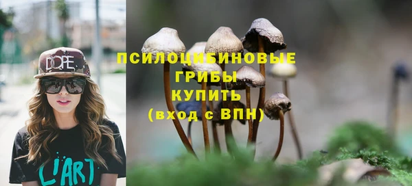 МДПВ Алзамай