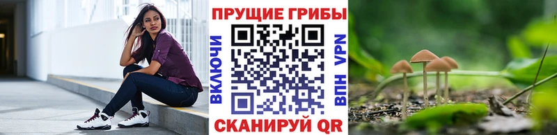 Галлюциногенные грибы ЛСД  Миньяр 